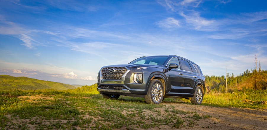 a Hyundai Palisade parked in a scenic grassy area