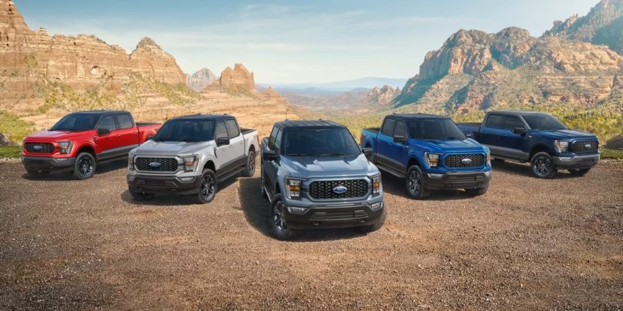 Five Ford pickup trucks are parked in a row.