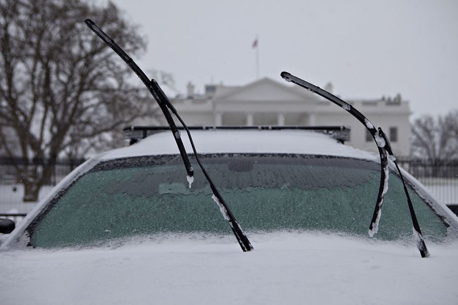 Windshield Wipers