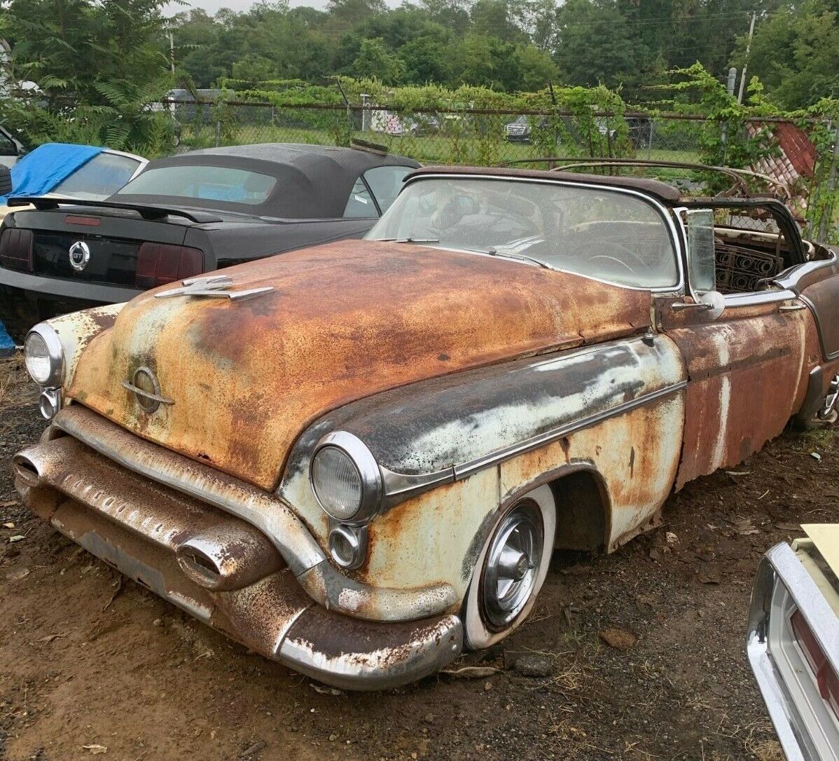 Rusty Monday: 1953 Olds Fiesta Holy Grail Of Rust