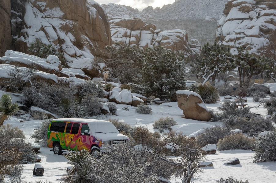 Snow blankets Joshua Tree National Park