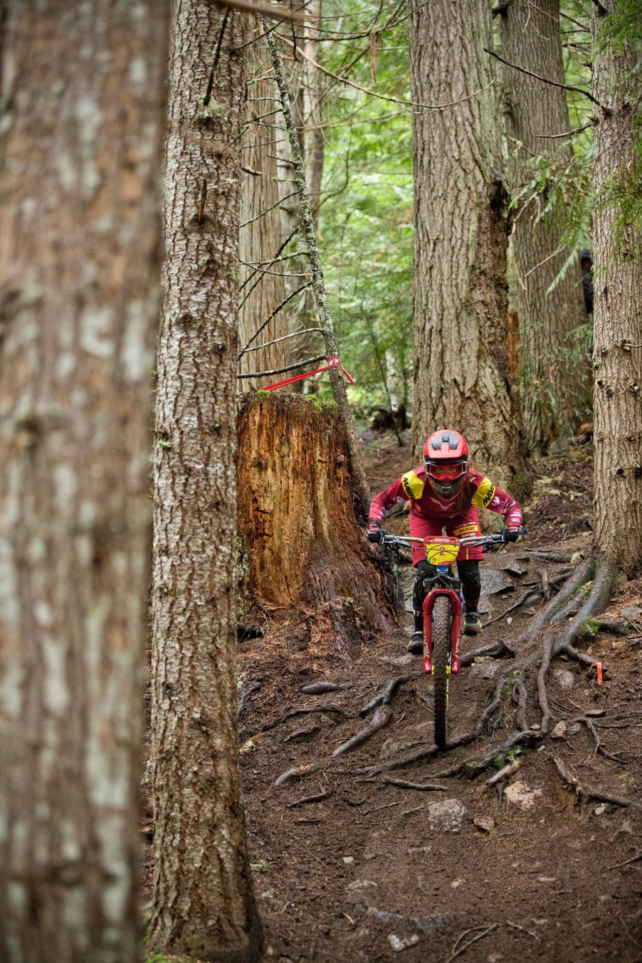 A woman rides a bicycle in the woods.