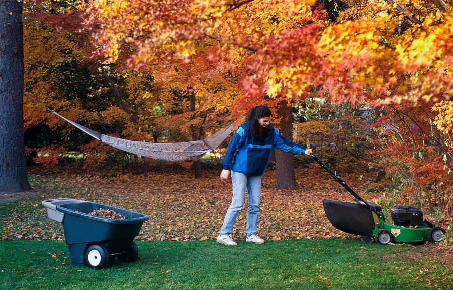 Woman cutting the lawn in autumn