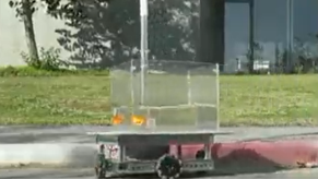 Goldfish drives a car by a sidewalk for study conducted by Israeli scientists at Ben-Gurion University