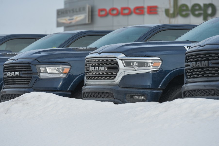 Ram trucks lined up.