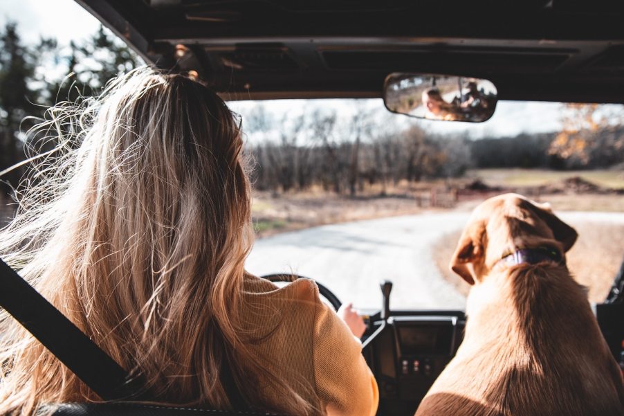 A woman and her dog taking a road trip.