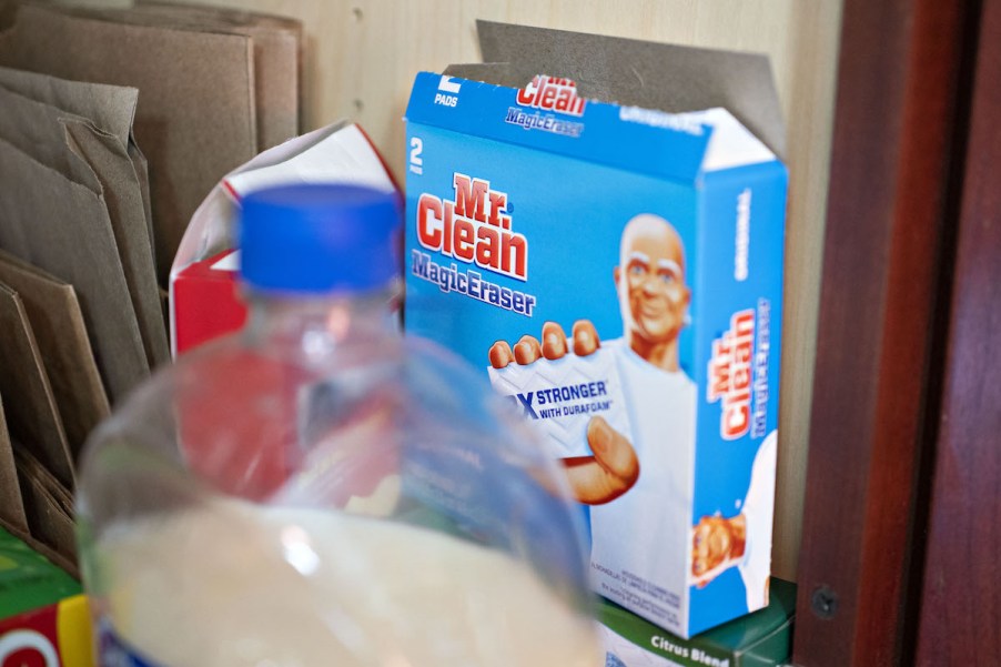 Mr. Clean Magic Eraser sponges