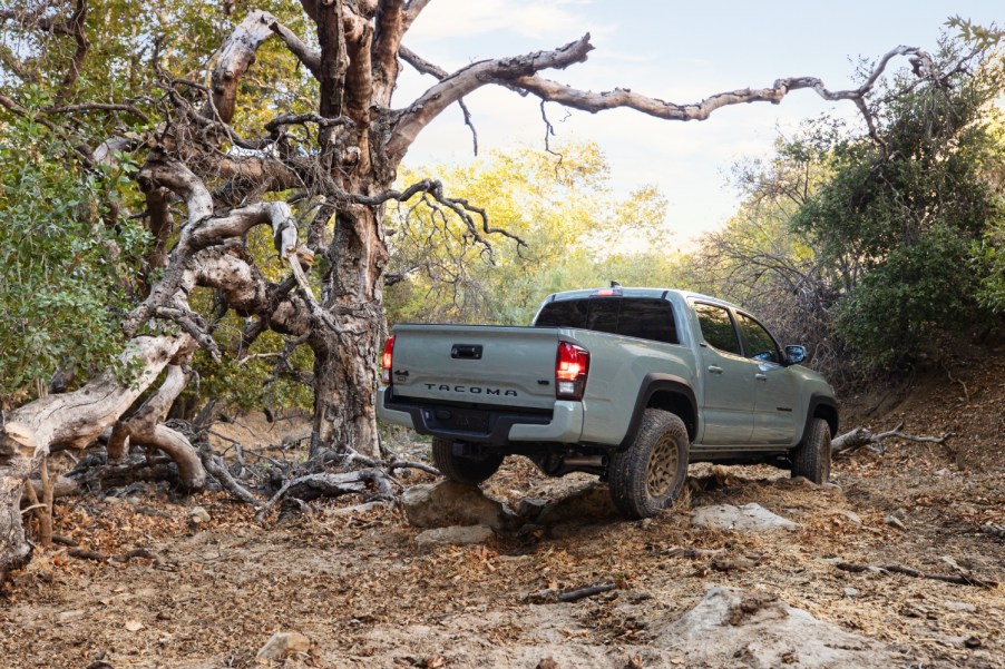 Reliable and popular trucks like the 2022 Toyota Tacoma