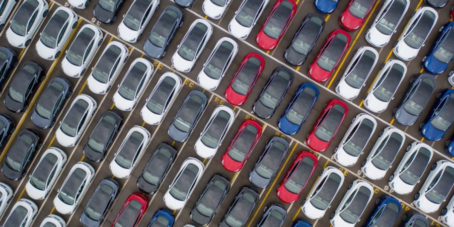 Multiple Tesla Model Y small electric SUVs are parked in a lot.