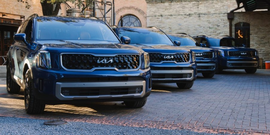 Multiple Kia Telluride midsize SUVs are parked.