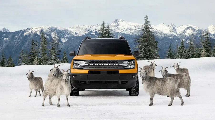 2024 Ford Bronco Sport in snow with goats