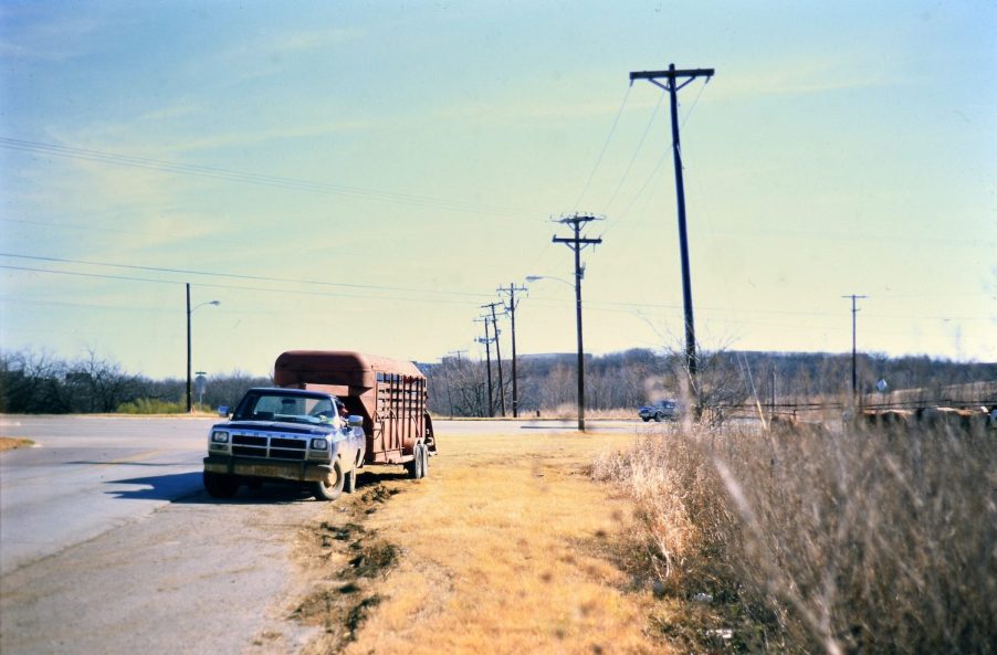 A diesel ICE truck hooked up to a cattle trailer on a rural road, a row of telelphone poles visible in the background.