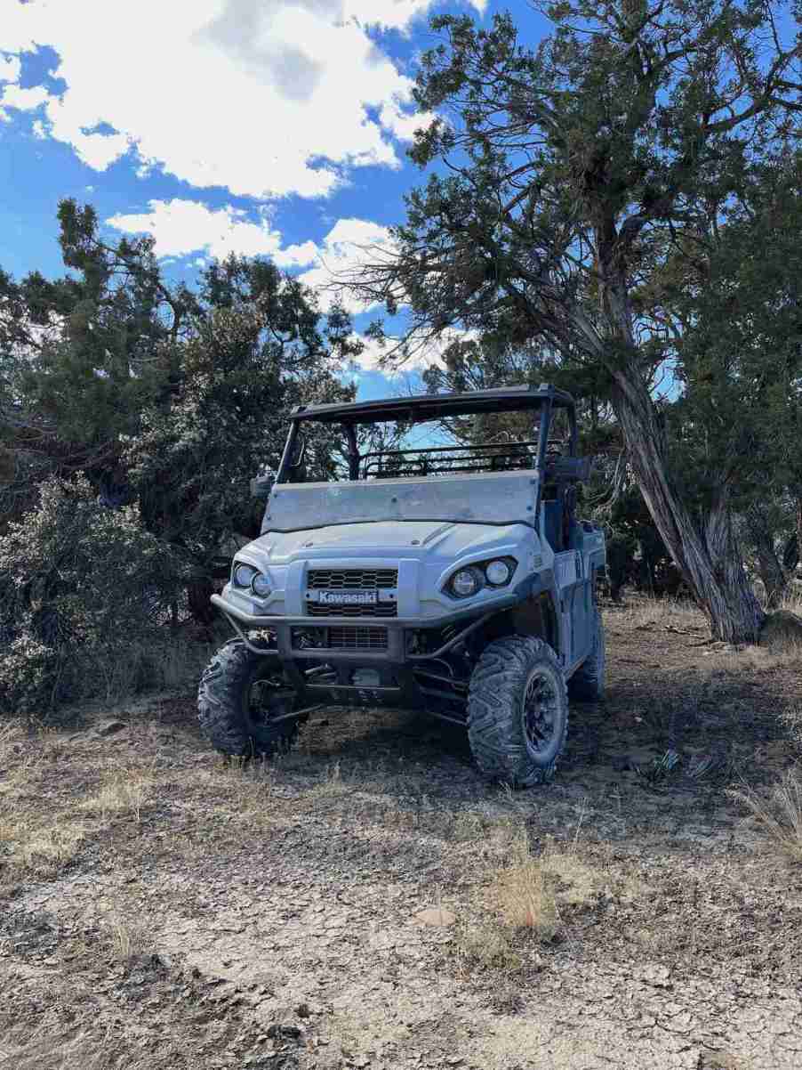 Grey 2024 Kawasaki Mule parked in some cedar trees.