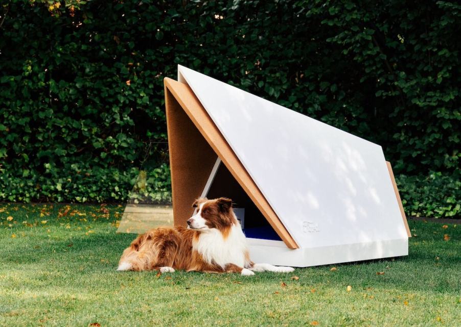 Ford noise-canceling dog kennel outside