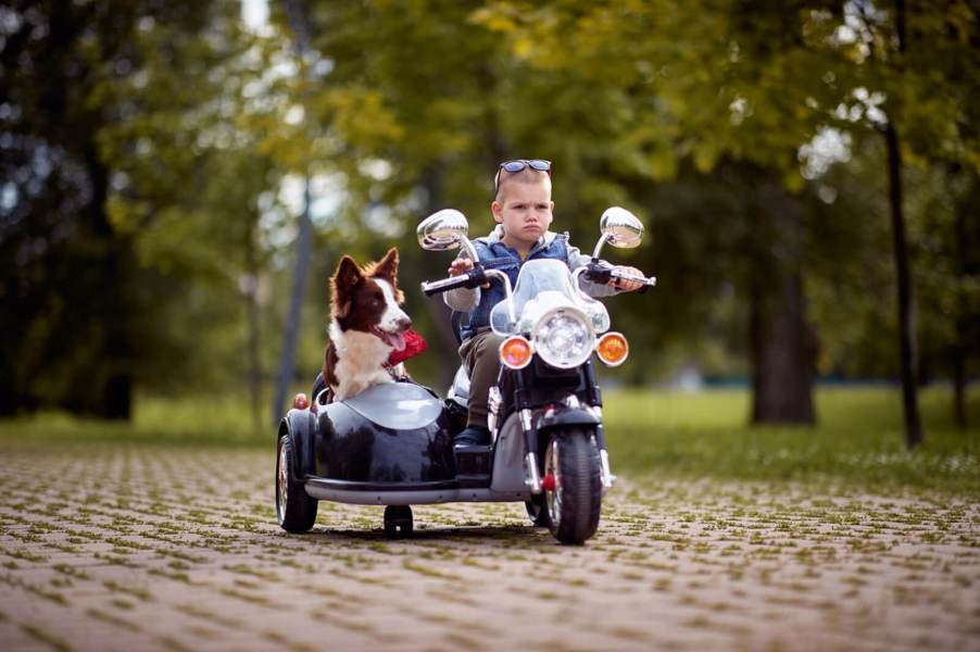 A young child rides a motorcycle toy with a canine passenger.