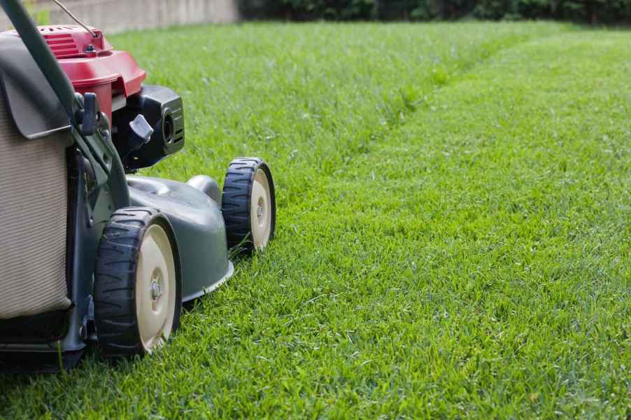 A push lawn mower bring operated in right rear view close view of grass and side of mower