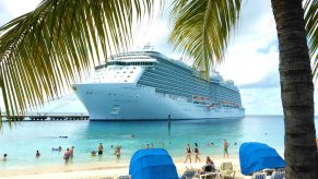 A white passenger cruise ship is anchored at a tropical beach with a palm tree framing the view of the ship people walking on the beach