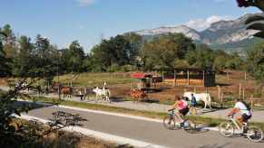 Bicycles ride along a path next to walking horses, mountains in the background.