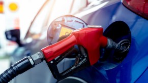 Red fuel hose in the gas door of a blue car at a filling station.