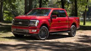 The 2024 Ford F-150 parked in the woods