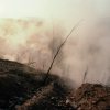 Smoke covers a mountainside as a coal fire burns beneath Centralia, Pennsylvania