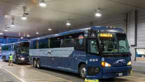 Greyhound bus parked in a. bus station