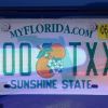 A Florida license plate with an overlaying semi-transparent image of police lights on over it