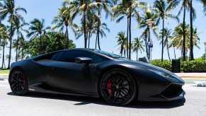 Black Lamborghini Huracan supercar parked in front of a row of palm trees.