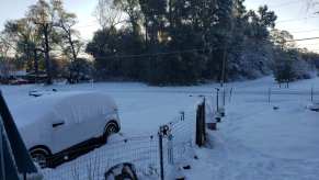 Snow in Pensacola, Florida has the city reacting with silly salting practices.