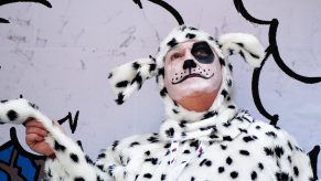 Man wears a Dalmatian dog costume with his face painted.