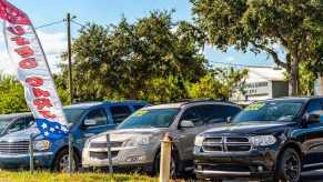 A Florida car dealer with SUVs on sale.