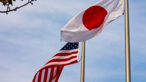 Japanese and American USA national flags in front of a blue sky, tree branches in the foreground.