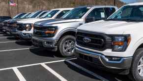 Ford trucks at a Ford dealership