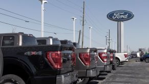 Ford trucks lined up at a dealership