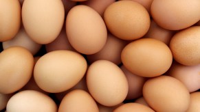 A bunch of eggs in a pile