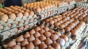 Eggs in crates