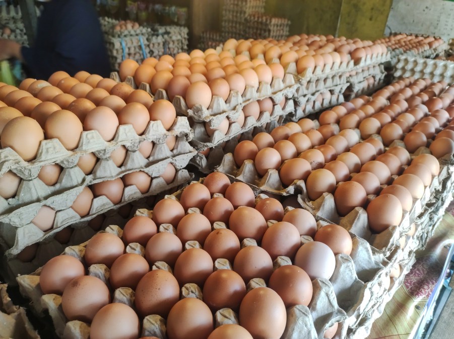 Eggs in crates