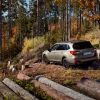 A Subaru Outback parked on a woodsy road