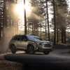 A 2025 Subaru Forester SUV parked in front of tall evergreen trees at dusk