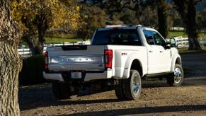 A Ford Super Duty F-450 parked under a tree.