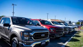 These new Ford F-150 trucks parked in a dealership lot command record high payments.