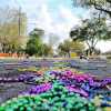 A Tesla Cybertruck ended up covered in beads and glow sticks following a Mardi Gras celebration.