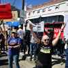 Rows of protestors shouting outside a Tesla dealership, holding signs against CEO Elon Musk and the trump administration